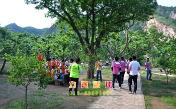 適合人多的團建游戲_團建小游戲人多_適合團建人多玩的游戲